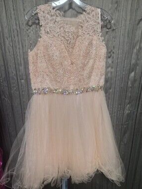 Womens Lace & Tulle Party Dress in Blush Sz12 Ptp 17